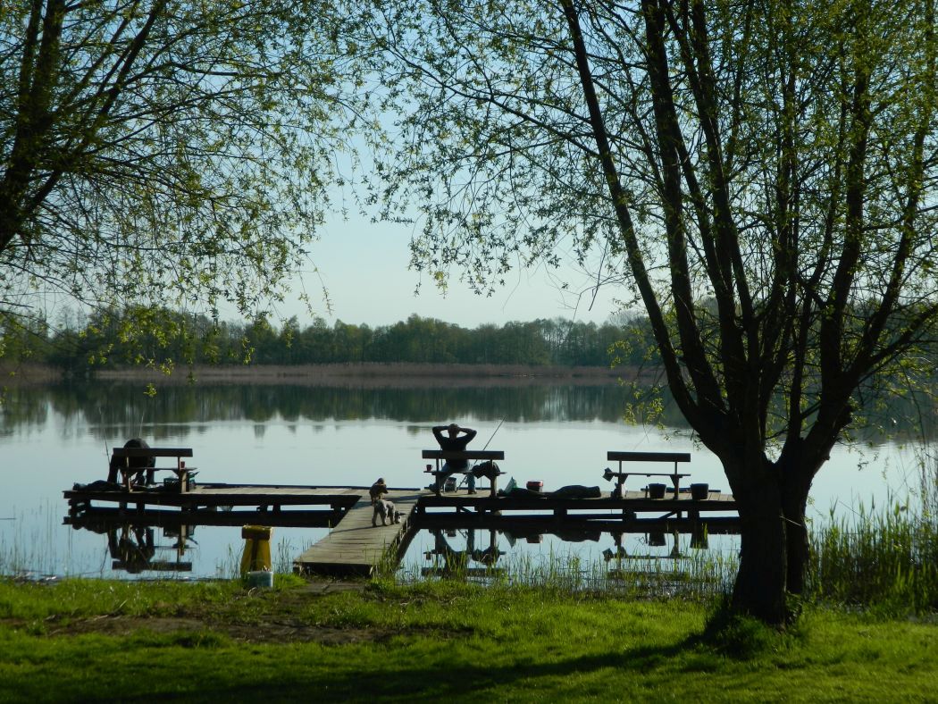 Pomosty wędkarskie nad jeziorem